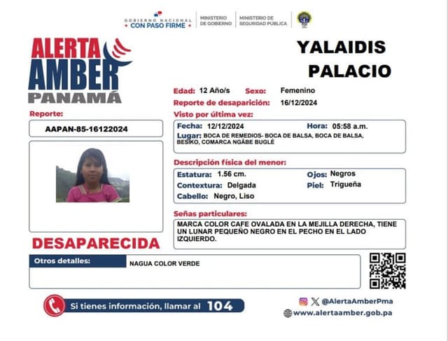 YALAIDIS PALACIO