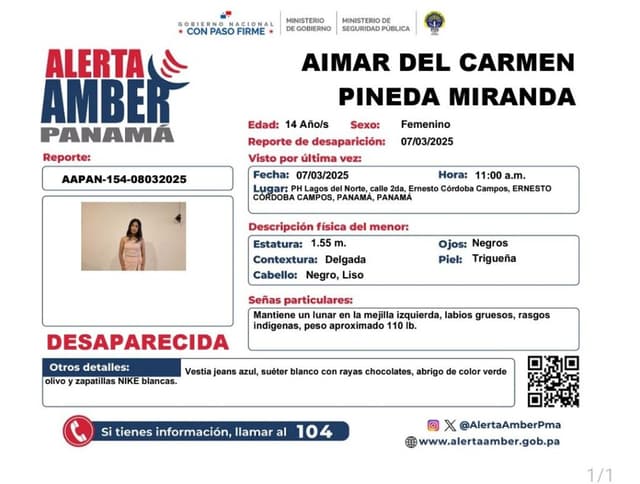AIMAR DEL CARMEN PINEDA MIRANDA